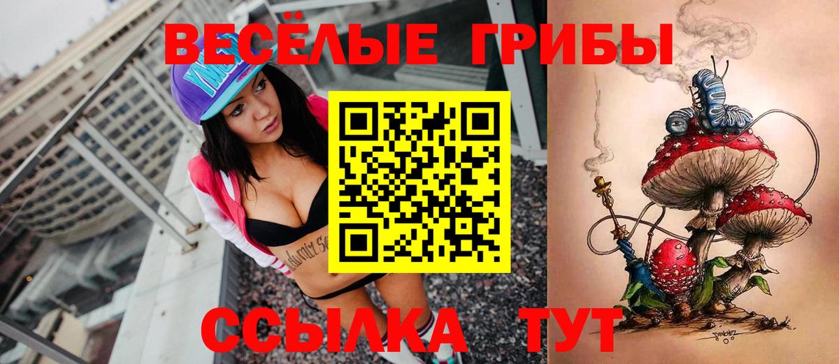 Обнинск  Псилоцибиновые грибы Psilocybe  купить наркотики цена  Вход с VPN 